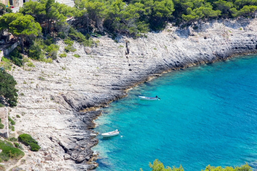 Mala Travna, Vis