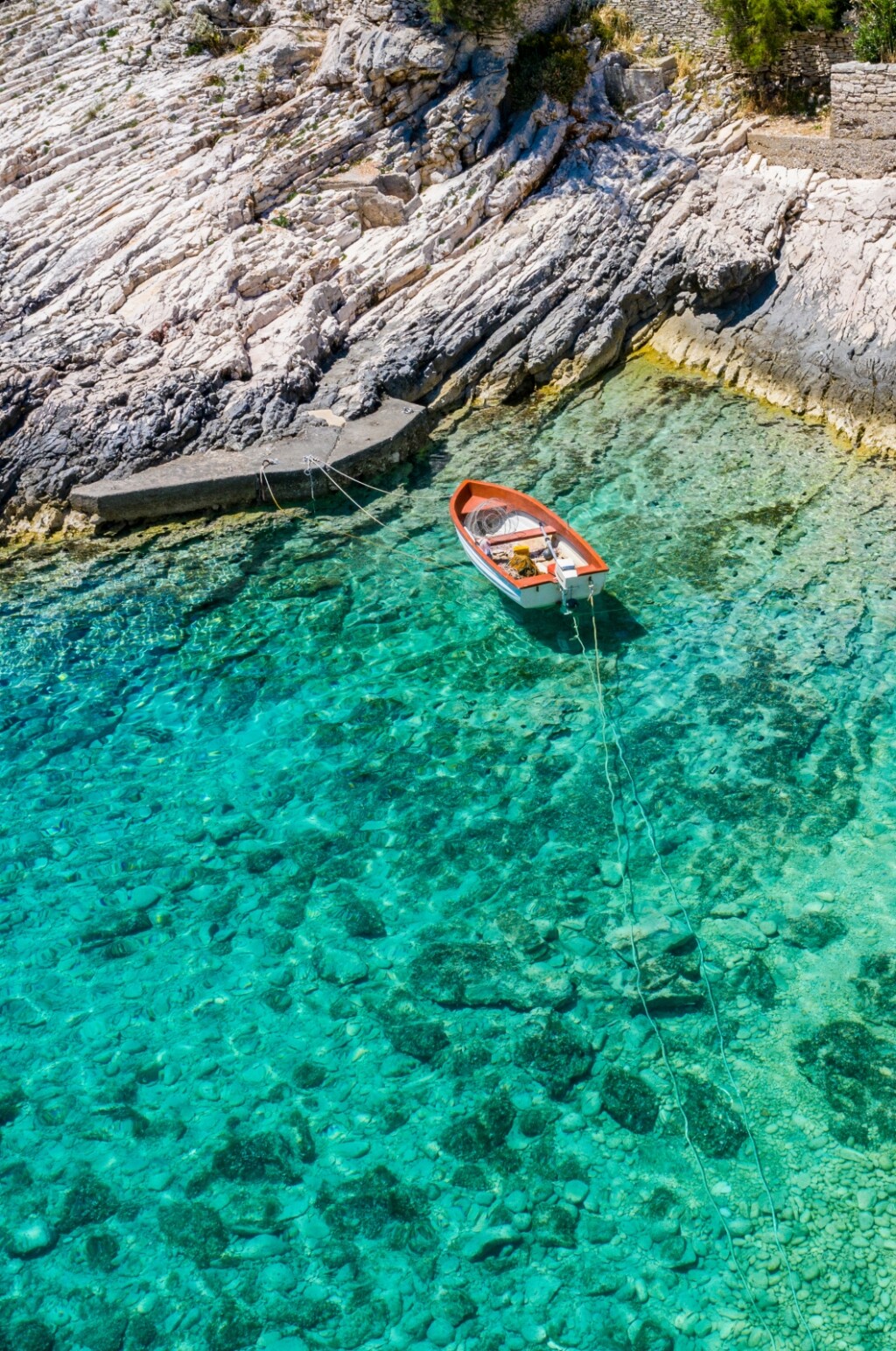 Mala Travna, Vis