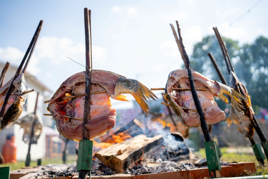 Dunav Fest - 4