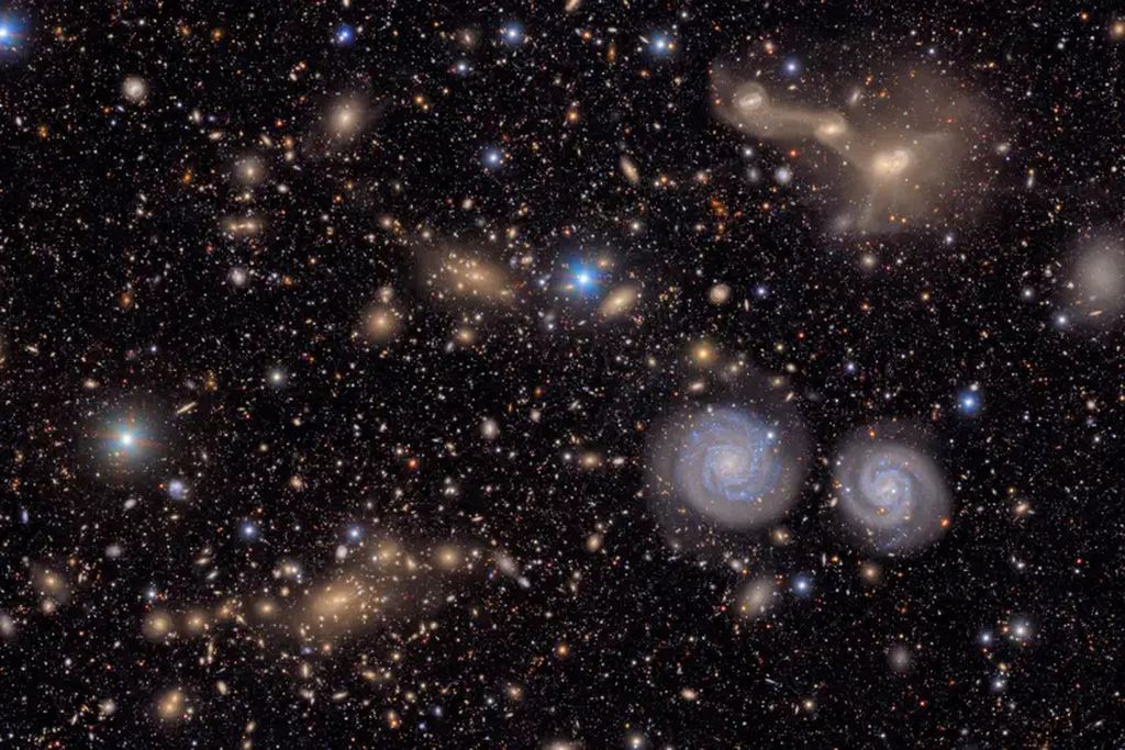 Maglice Trifid i Laguna