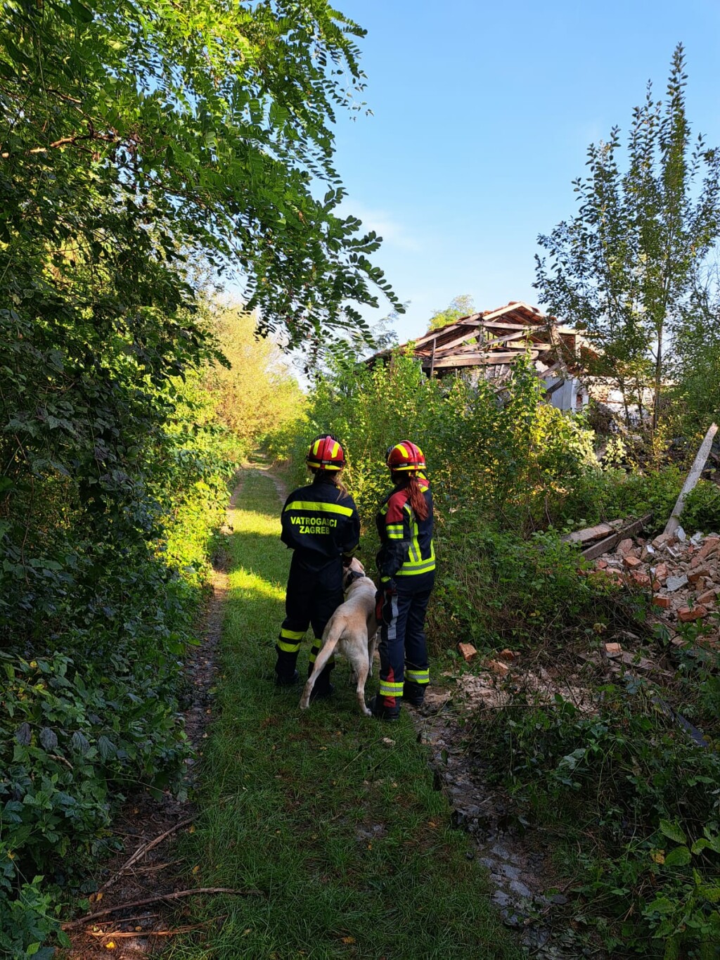 Oni odlaze kamo nitko drugi ne može: Potražni psi DVD-a Zapad u akcijama koje oduzimaju dah