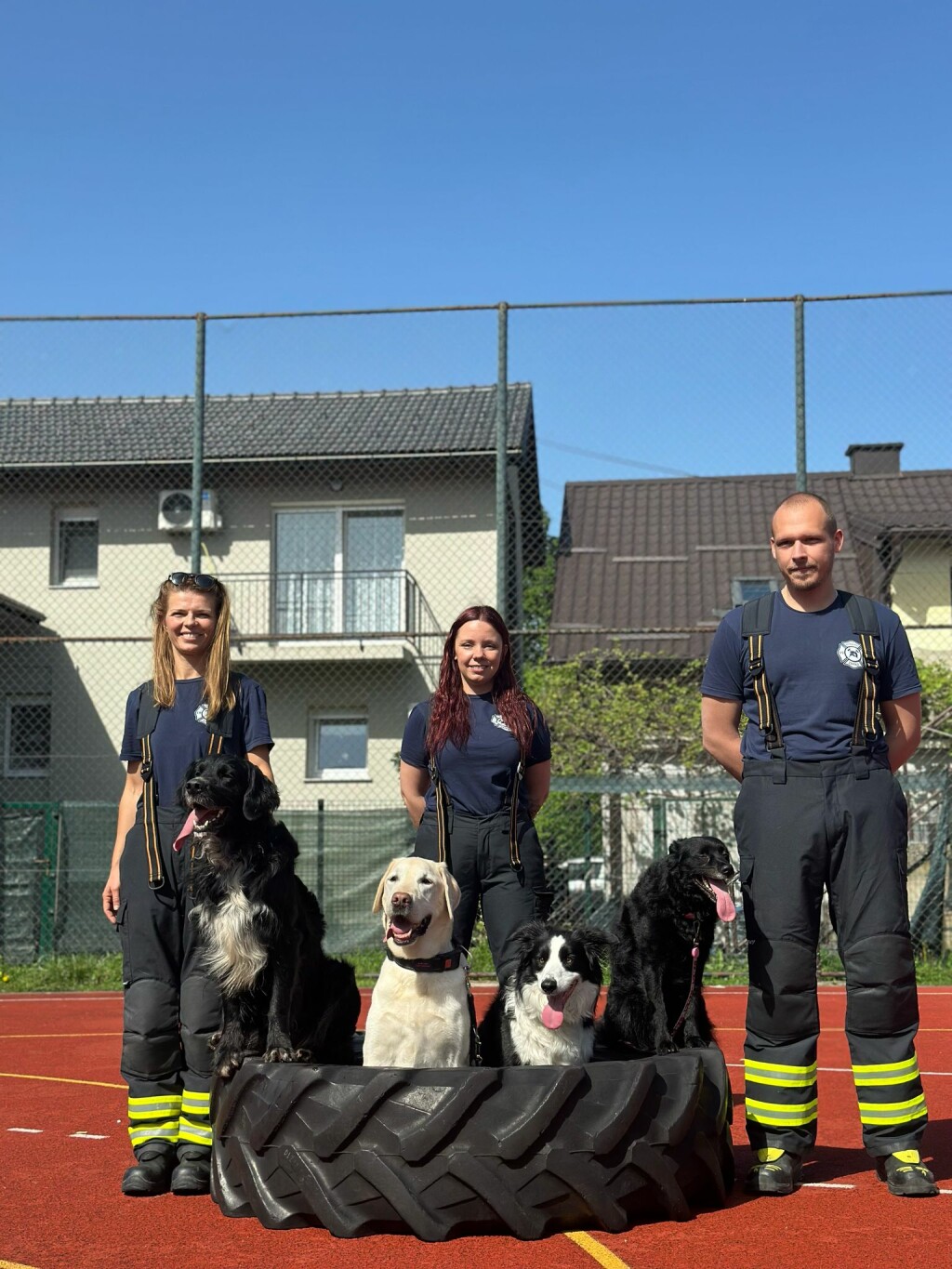 Oni odlaze kamo nitko drugi ne može: Potražni psi DVD-a Zapad u akcijama koje oduzimaju dah