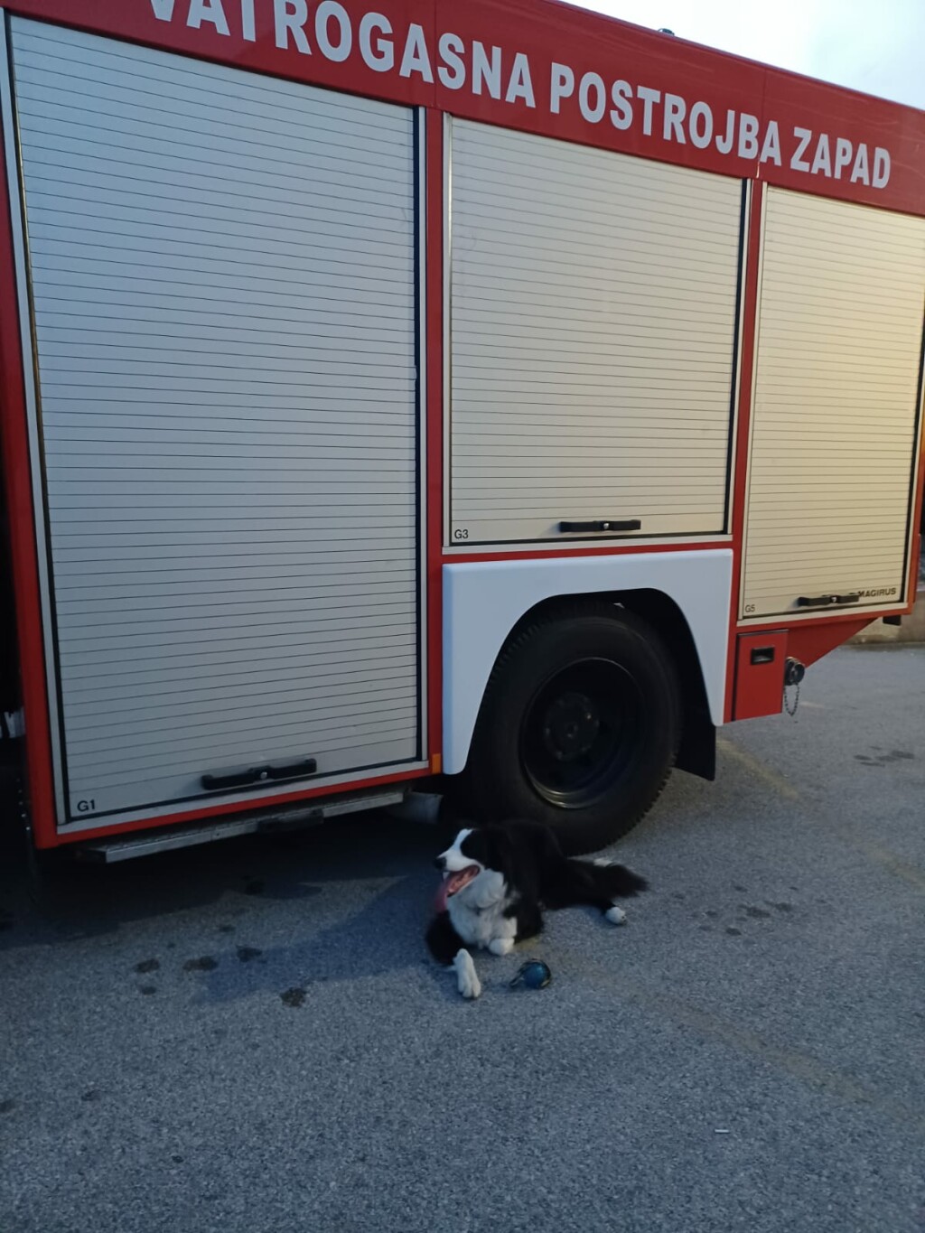 Oni odlaze kamo nitko drugi ne može: Potražni psi DVD-a Zapad u akcijama koje oduzimaju dah