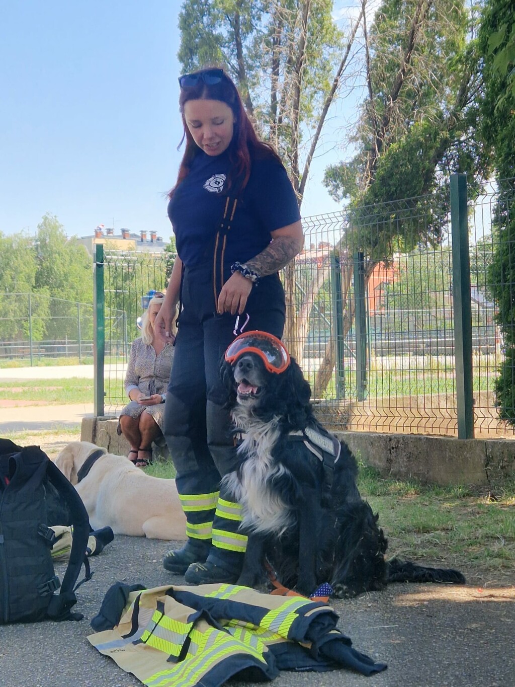 Oni odlaze kamo nitko drugi ne može: Potražni psi DVD-a Zapad u akcijama koje oduzimaju dah