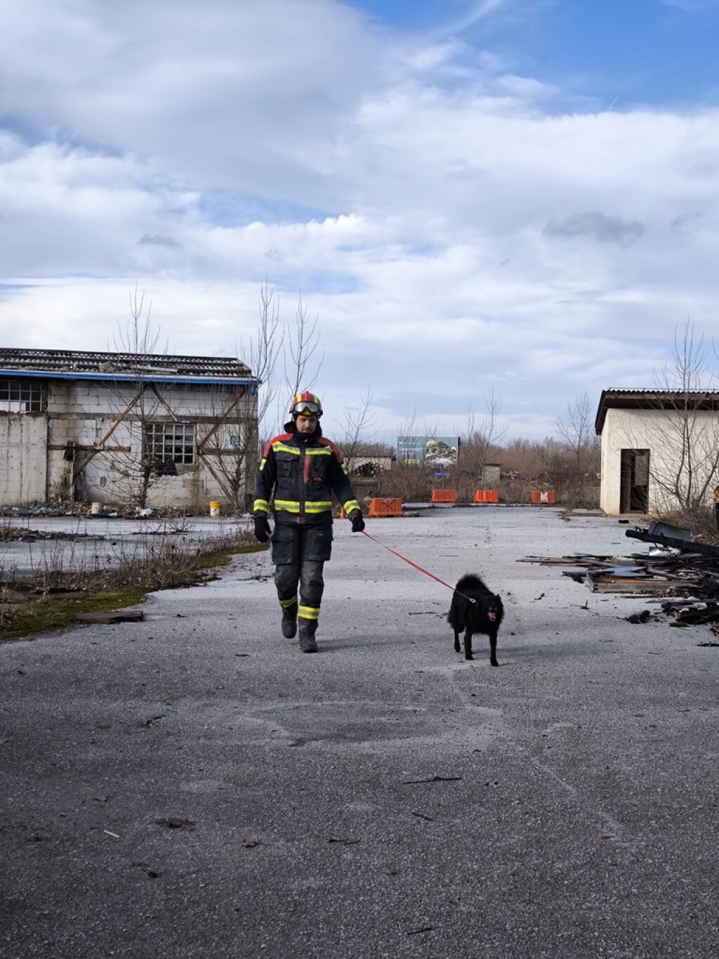 Oni odlaze kamo nitko drugi ne može: Potražni psi DVD-a Zapad u akcijama koje oduzimaju dah