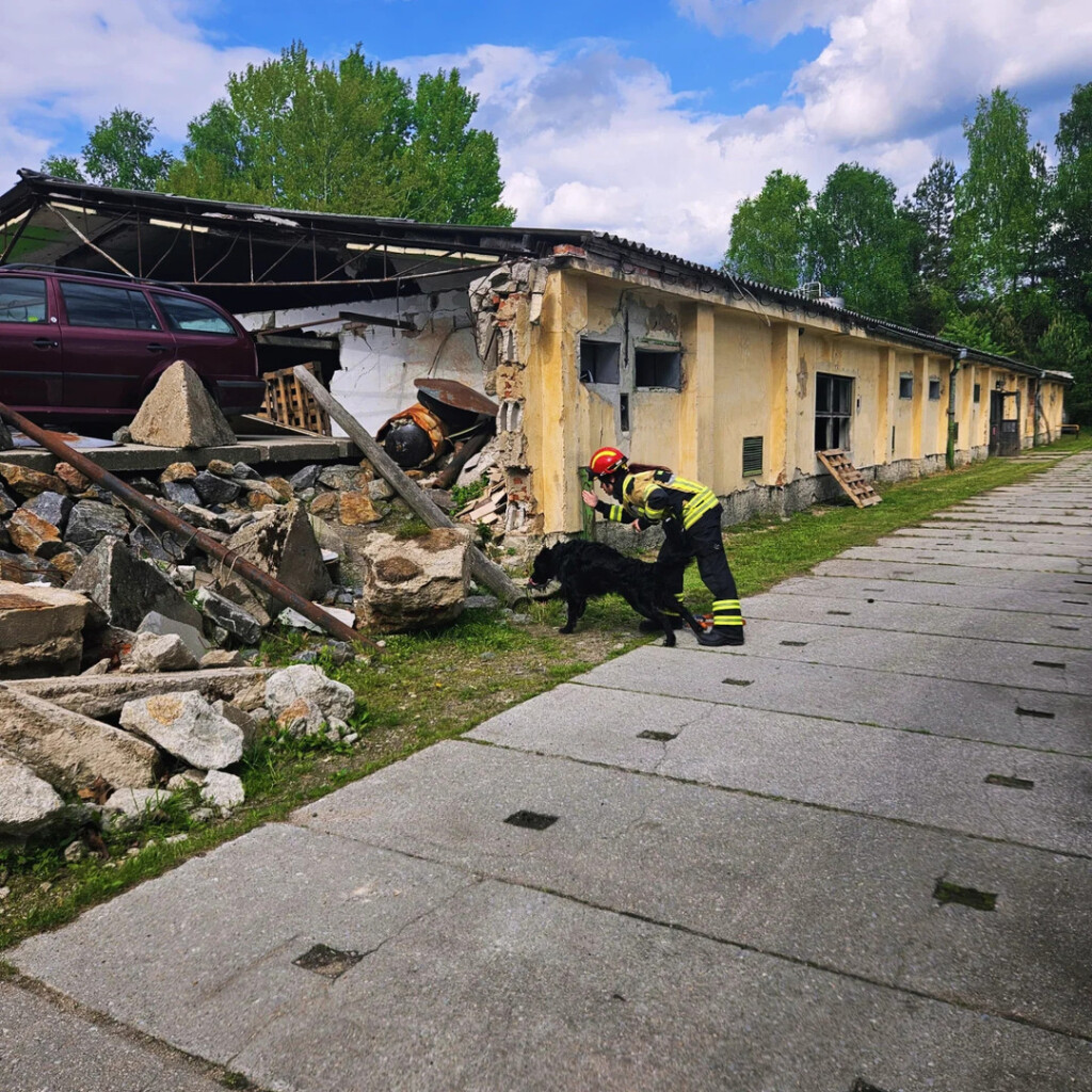 Oni odlaze kamo nitko drugi ne može: Potražni psi DVD-a Zapad u akcijama koje oduzimaju dah