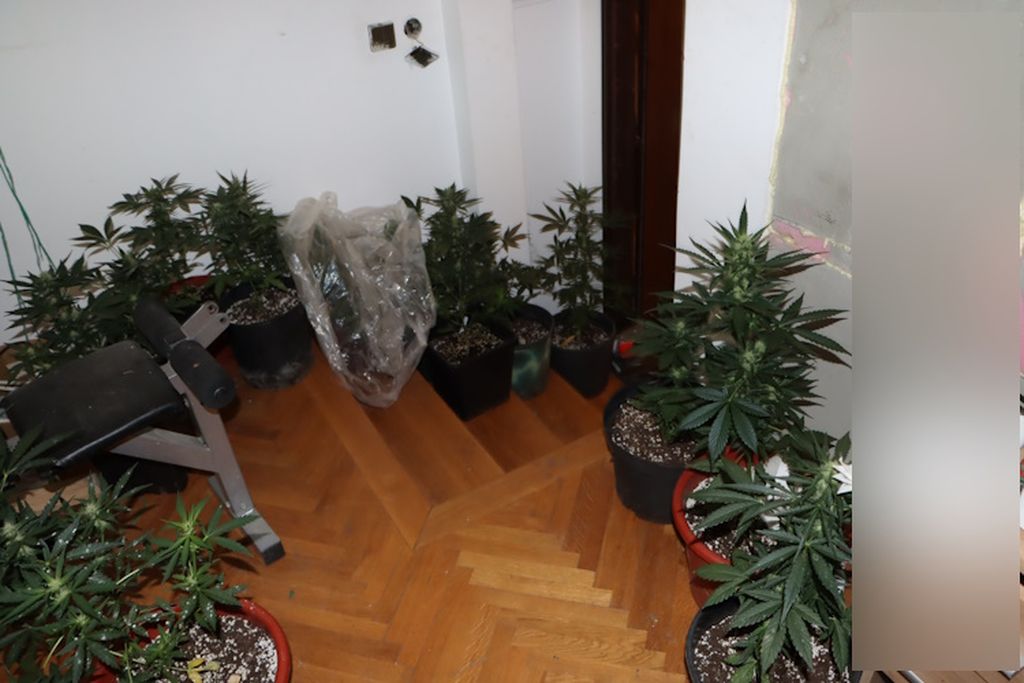 Policija pronašla drogu u Jastrebarskom - 1