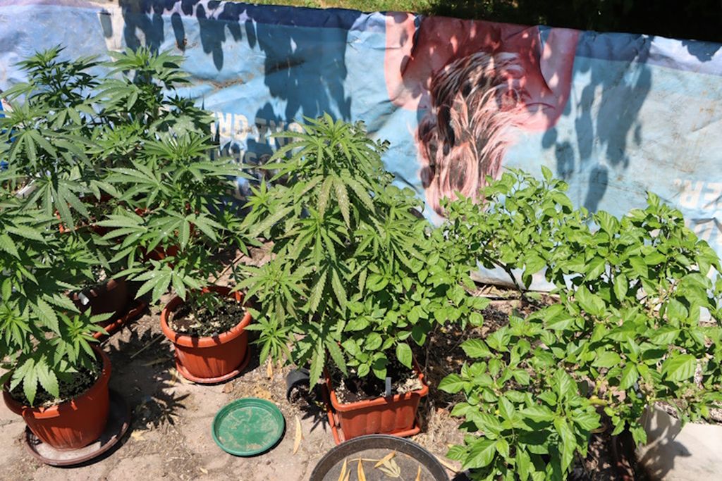 Policija pronašla drogu u Jastrebarskom - 1