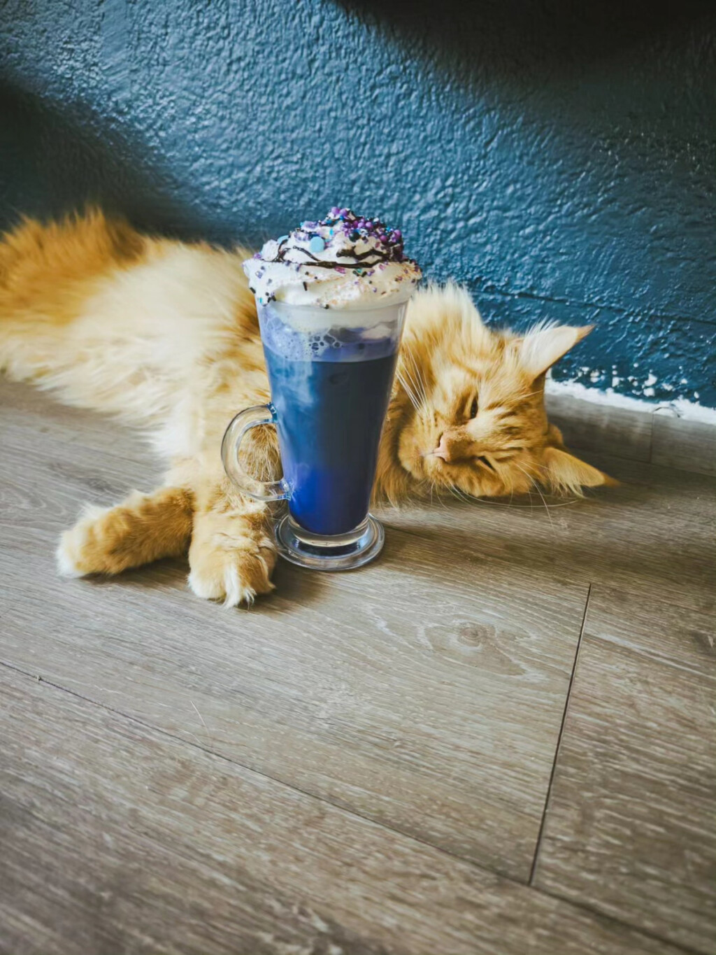 Zagrebački Cat Caffe ima dva pića inspirirana pjevačicom Taylor Swift - 2