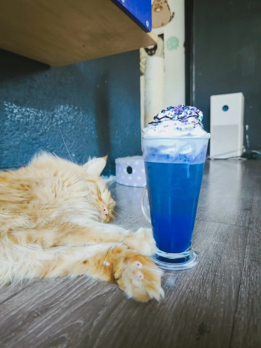 Zagrebački Cat Caffe ima dva pića inspirirana pjevačicom Taylor Swift - 5