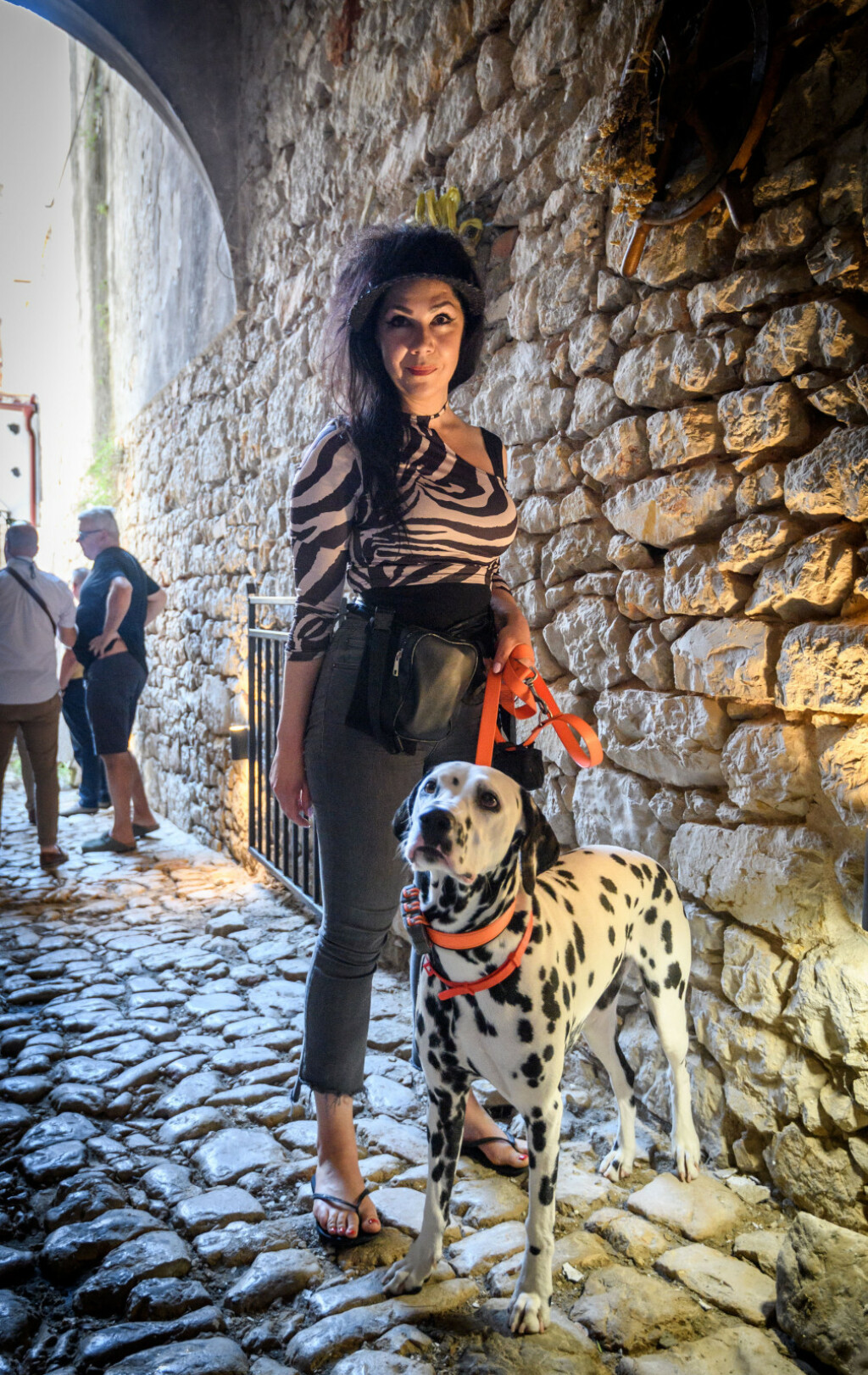 Kuća dalmatinskog psa otvorena je u Šibeniku - 13