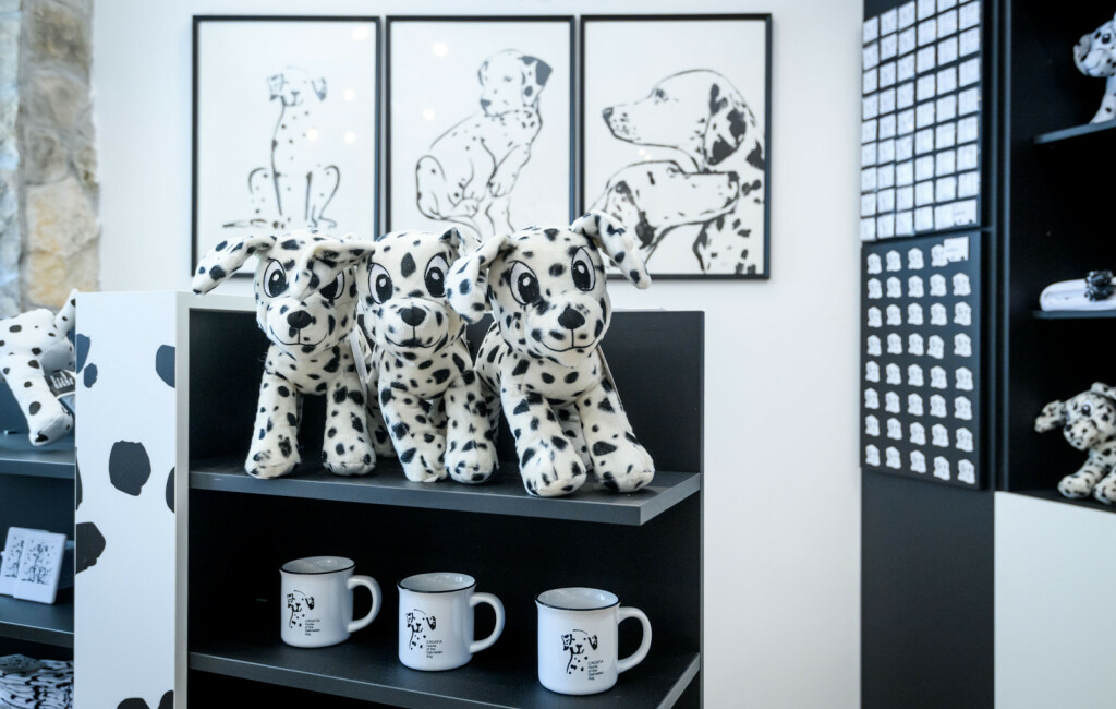 Kuća dalmatinskog psa otvorena je u Šibeniku - 15