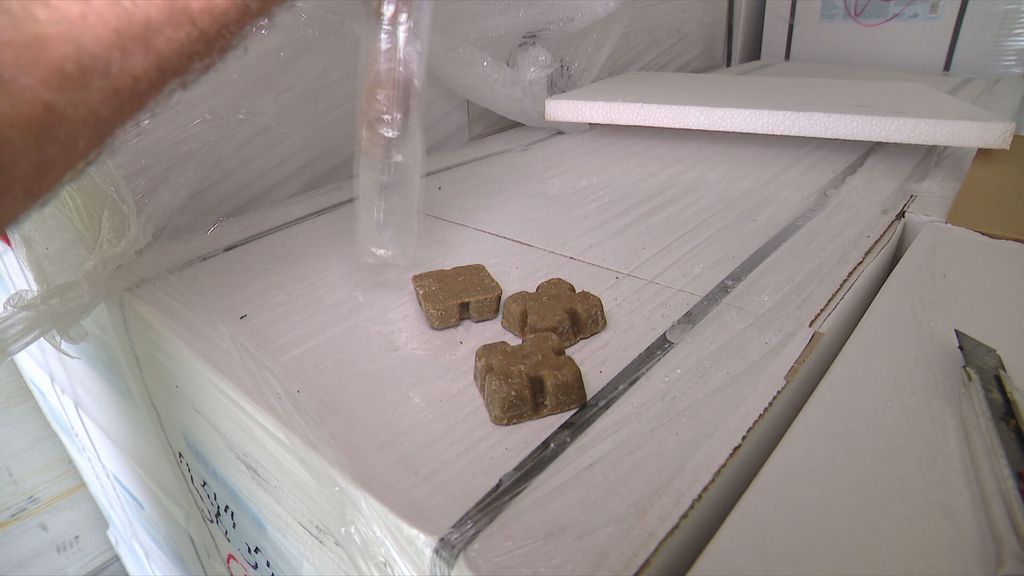 Oralna vakcinacija lisica protiv bjesnoće