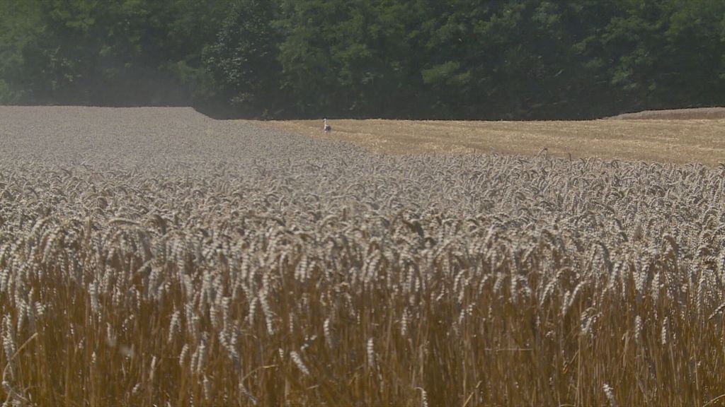 Tin Kovačić i Nataša Tramišak - 2