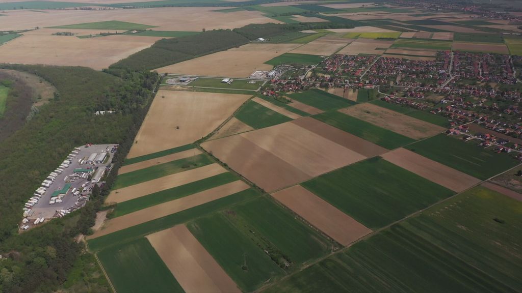 Tin Kovačić i Nataša Tramišak - 2