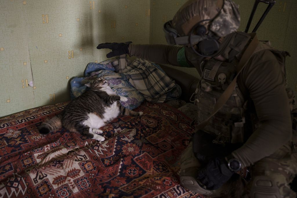 SBU agenti u akciji hvatanja ruskog doušnika - 3