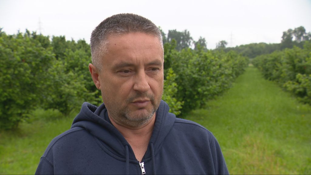 Poljoprivreda na udaru novog štetnika