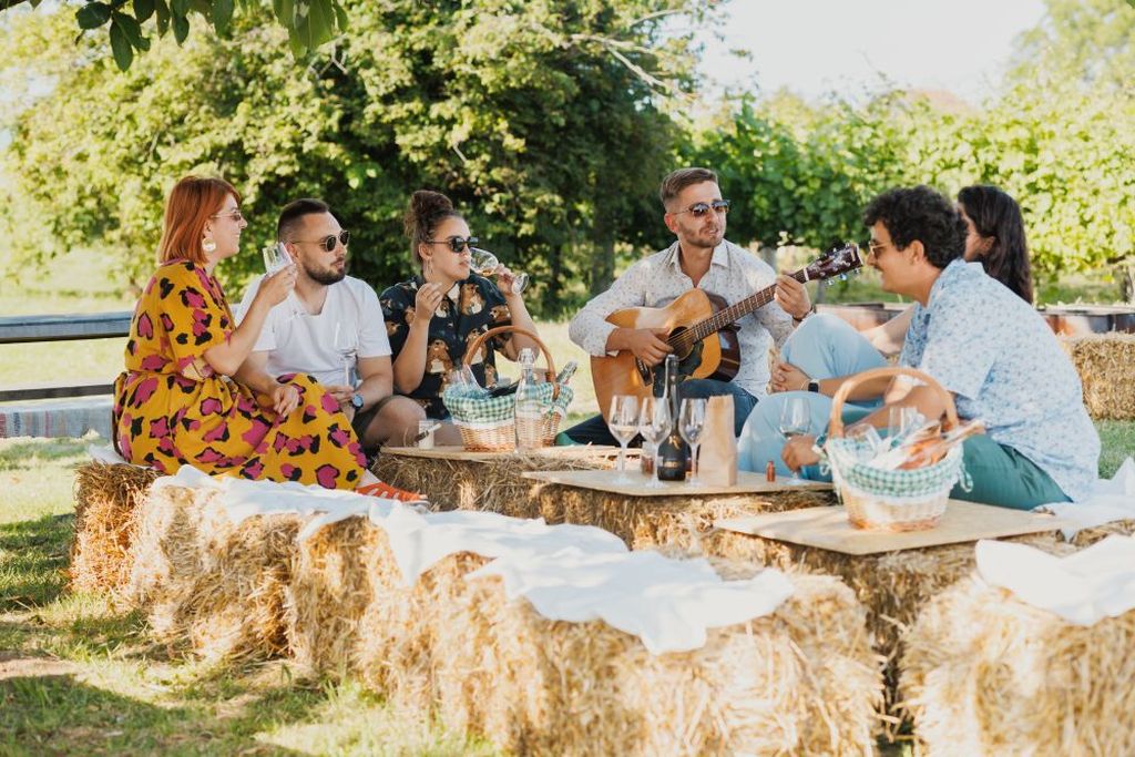 Piknik u vinogradu
