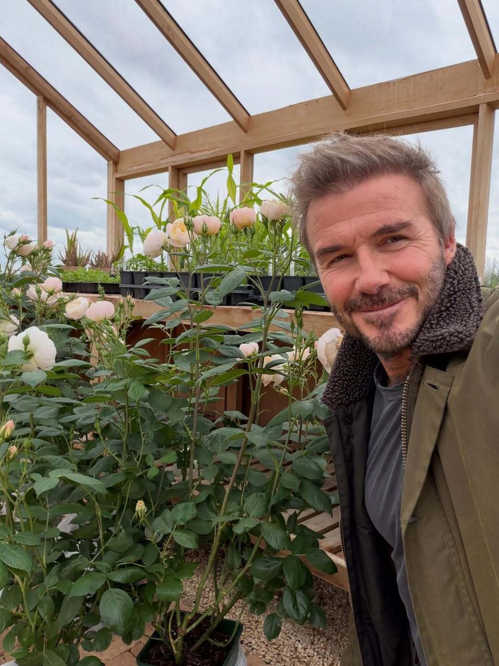 David Beckham