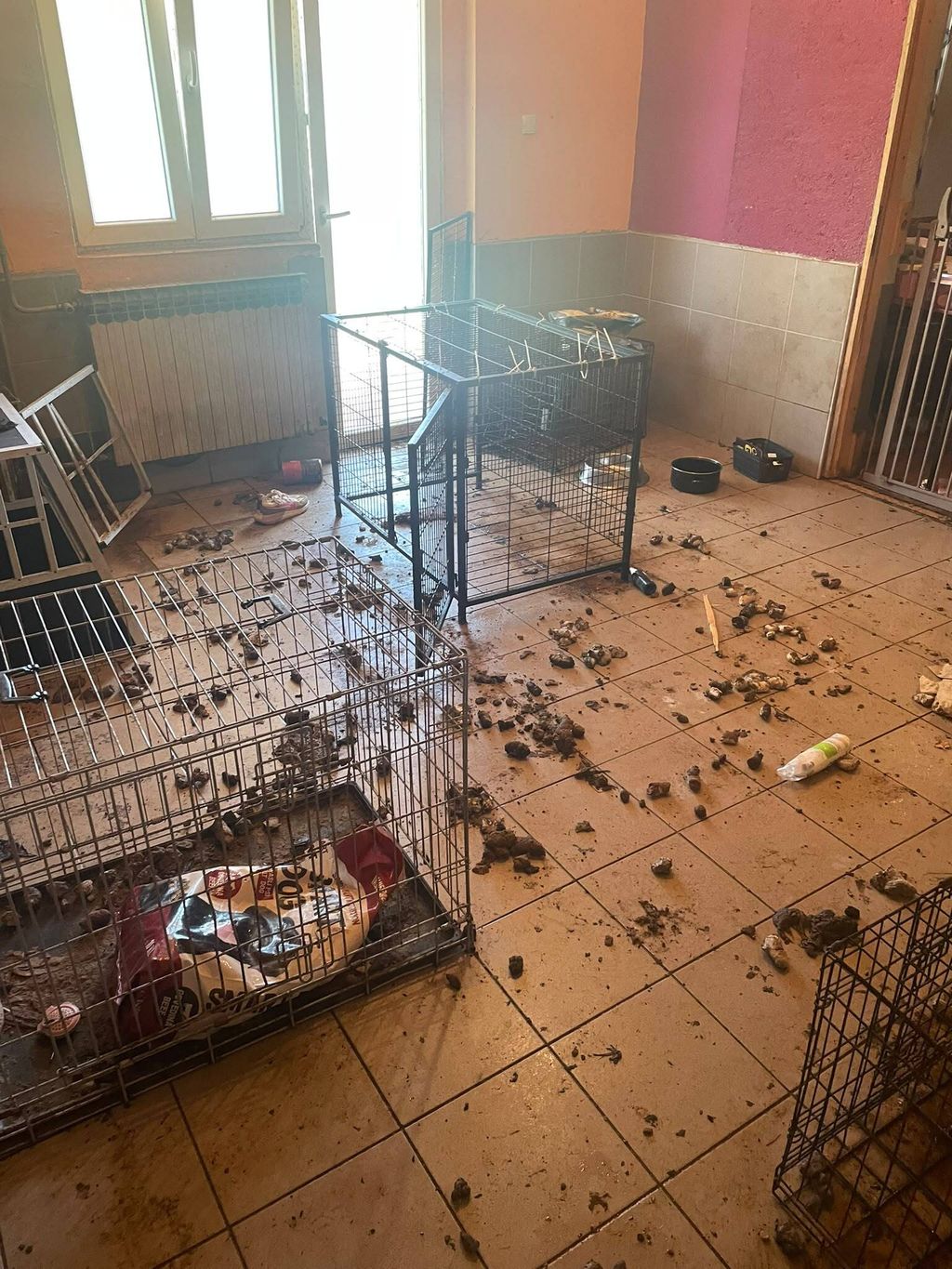 Užas u Dvoru - 3