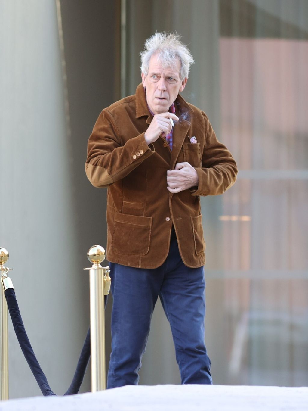Hugh Laurie - 4