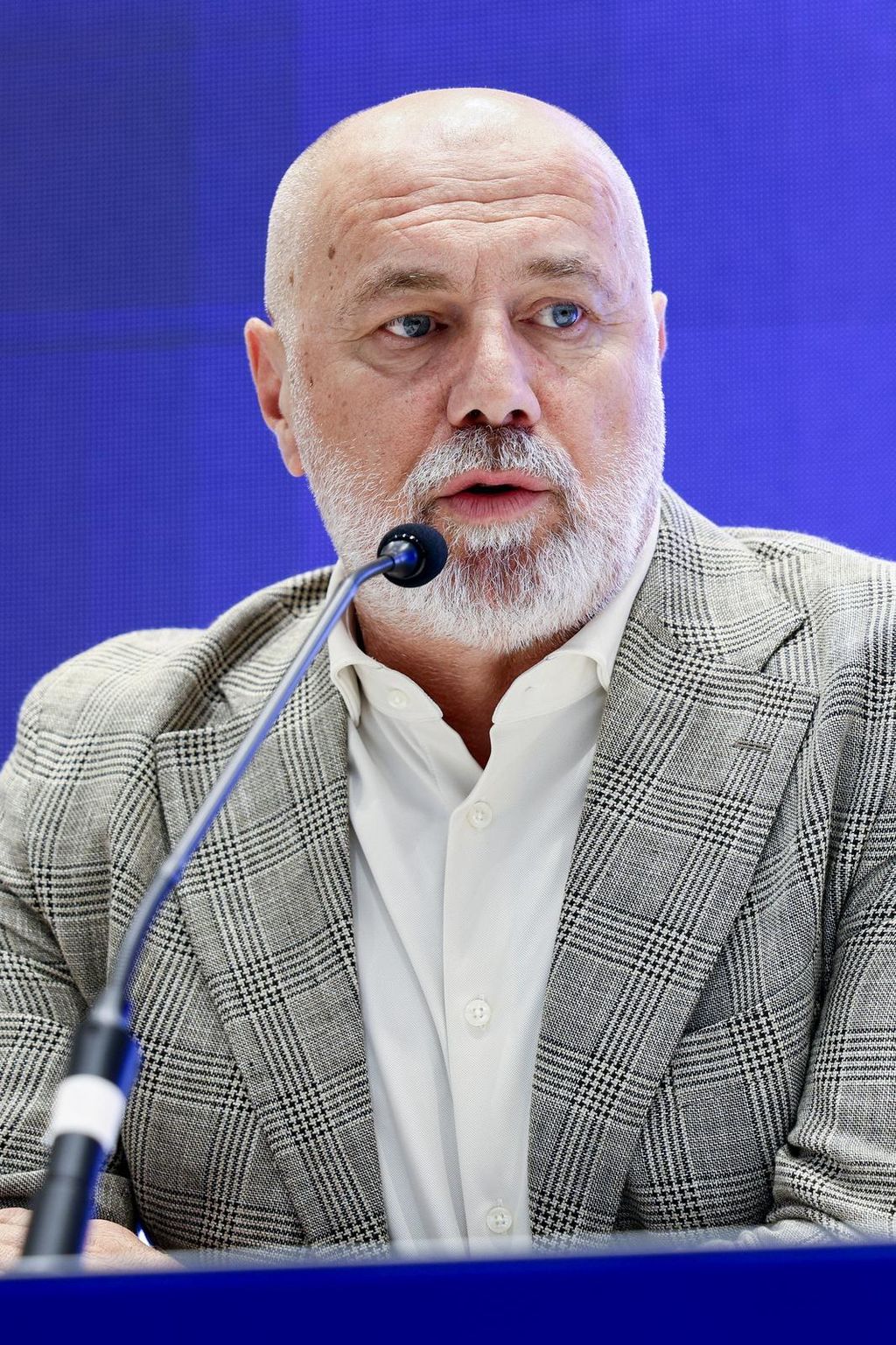 Sergej Barbarez - 1
