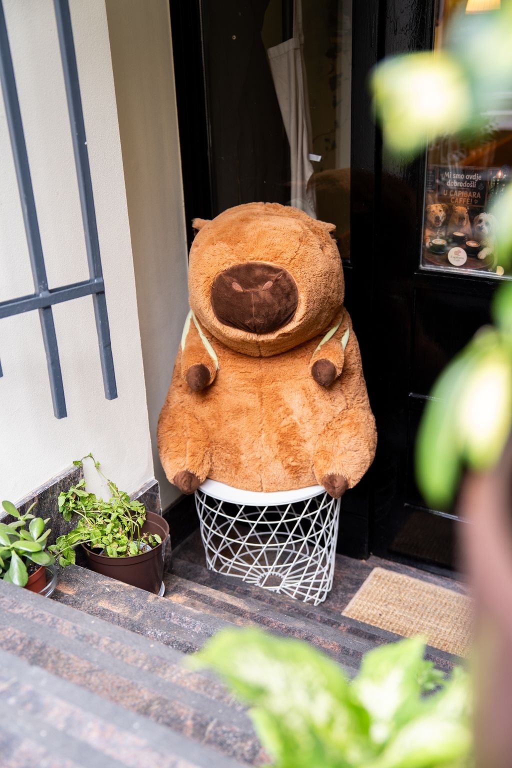 Capibara Caffe u Zagrebu