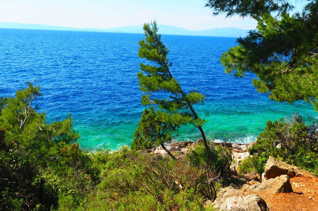 Mljet - 14