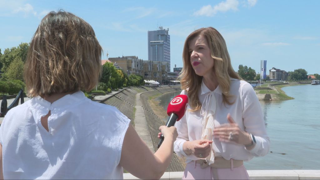 Biljana Borzan, zastupnica u Europskom parlamentu (SDP)