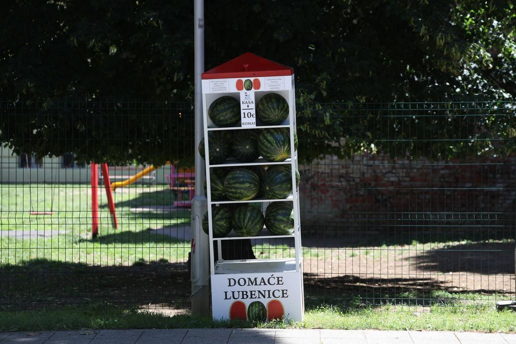 Lubenicomati u Osijeku