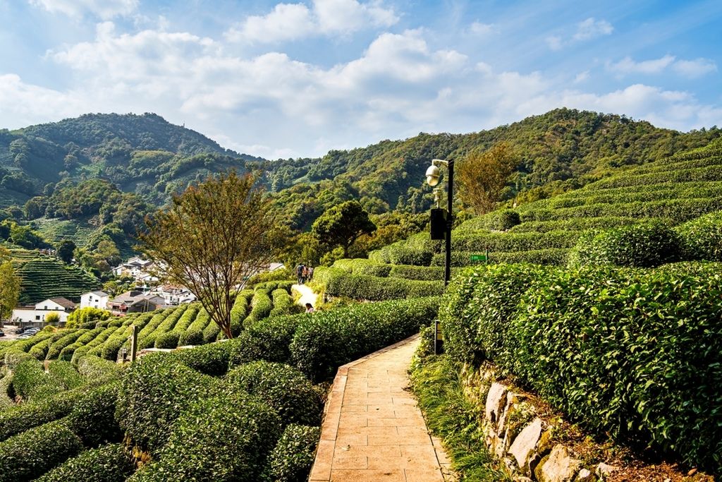 Longjing - 3