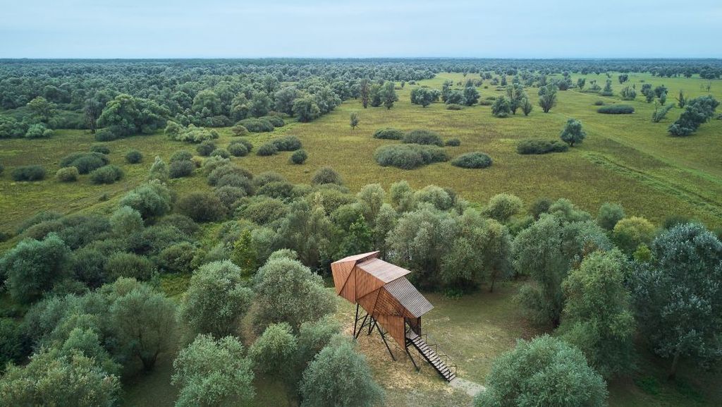 Vidikovci
