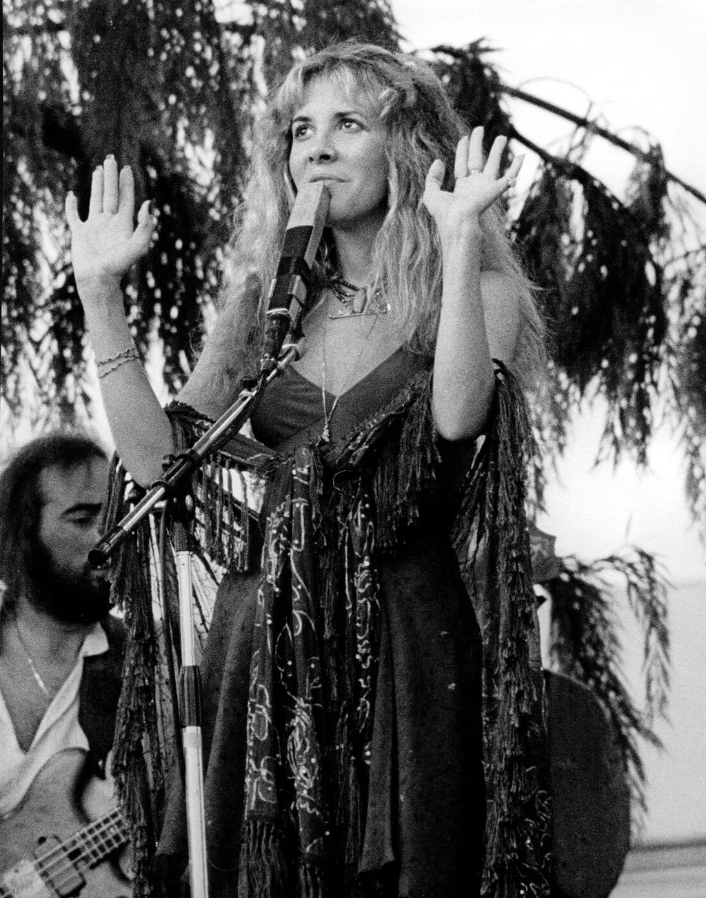 Stevie Nicks - 7