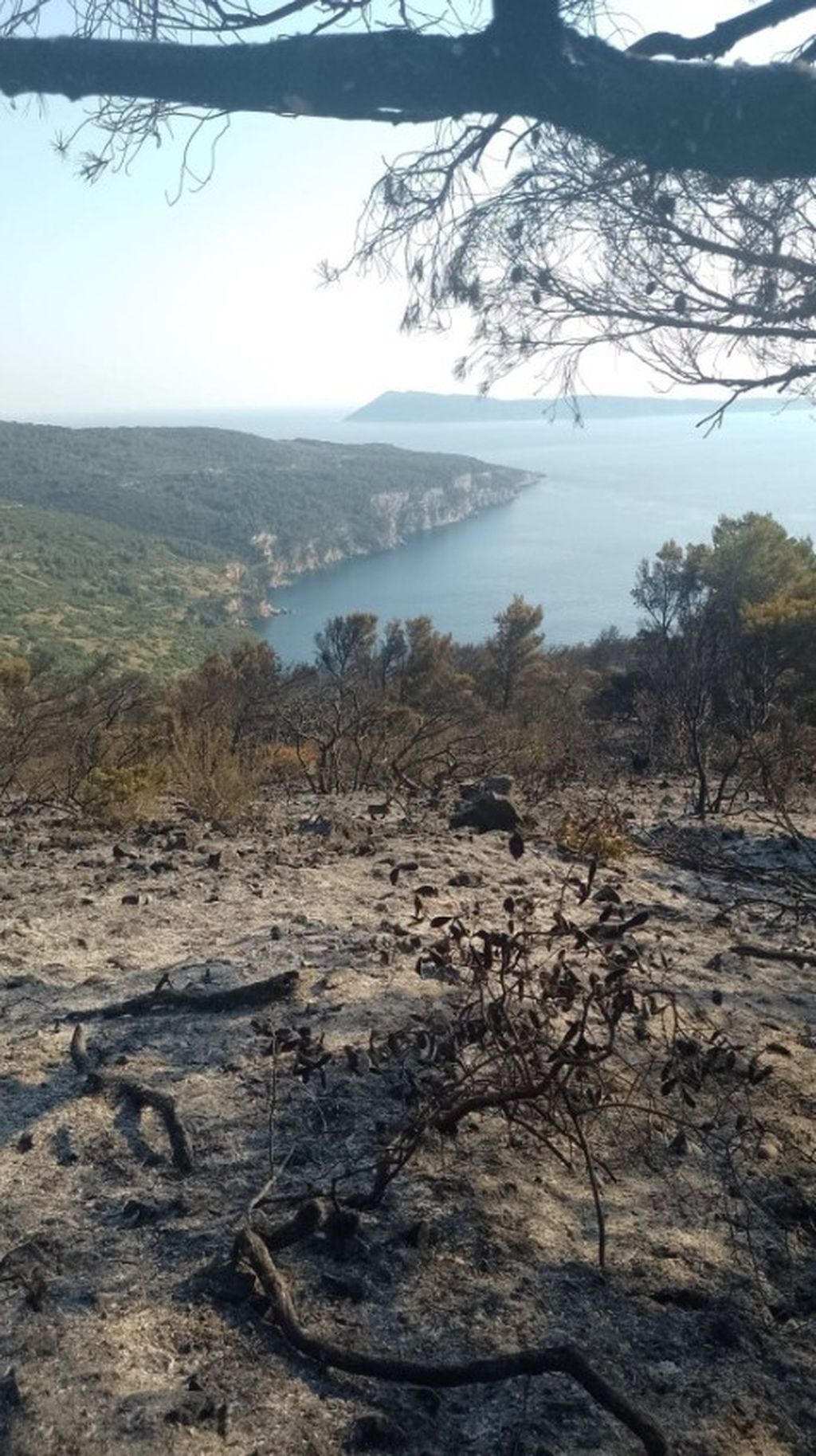 Požar na Visu - 5