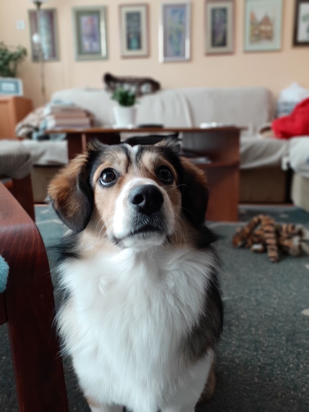 Samsung Galaxy A8(2018) (Foto: ZIMO)