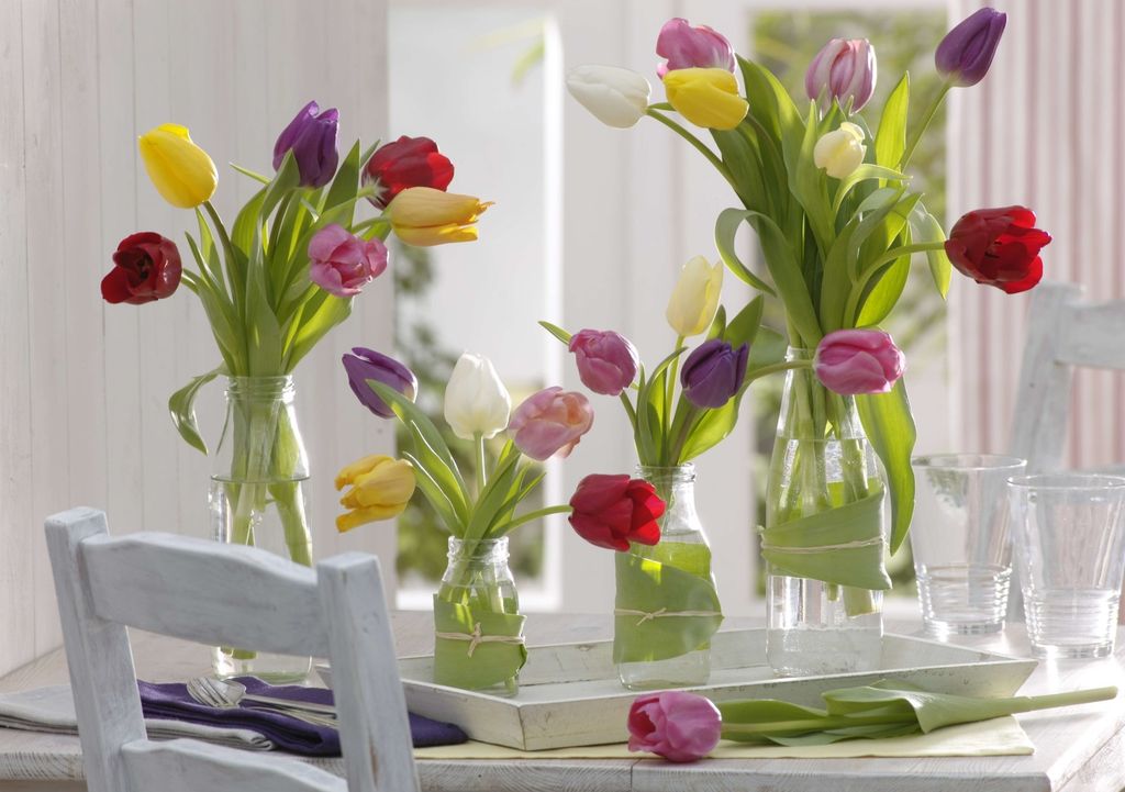 Tulipani - 2