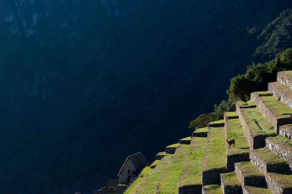 Machu Picchu - 4