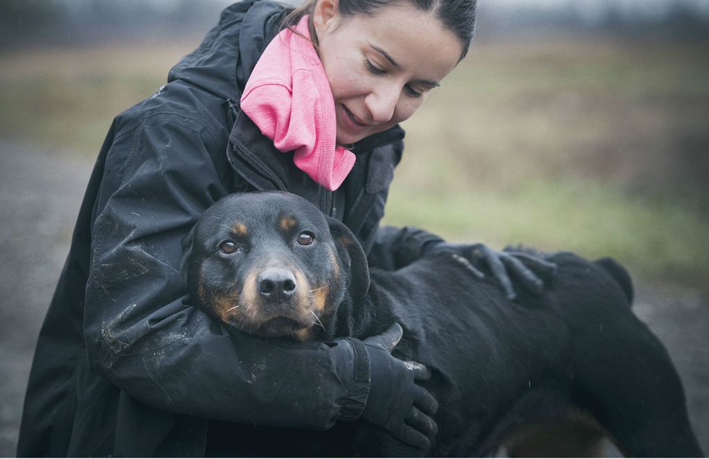 Rotvajlerica Jana traži novi dom - 2