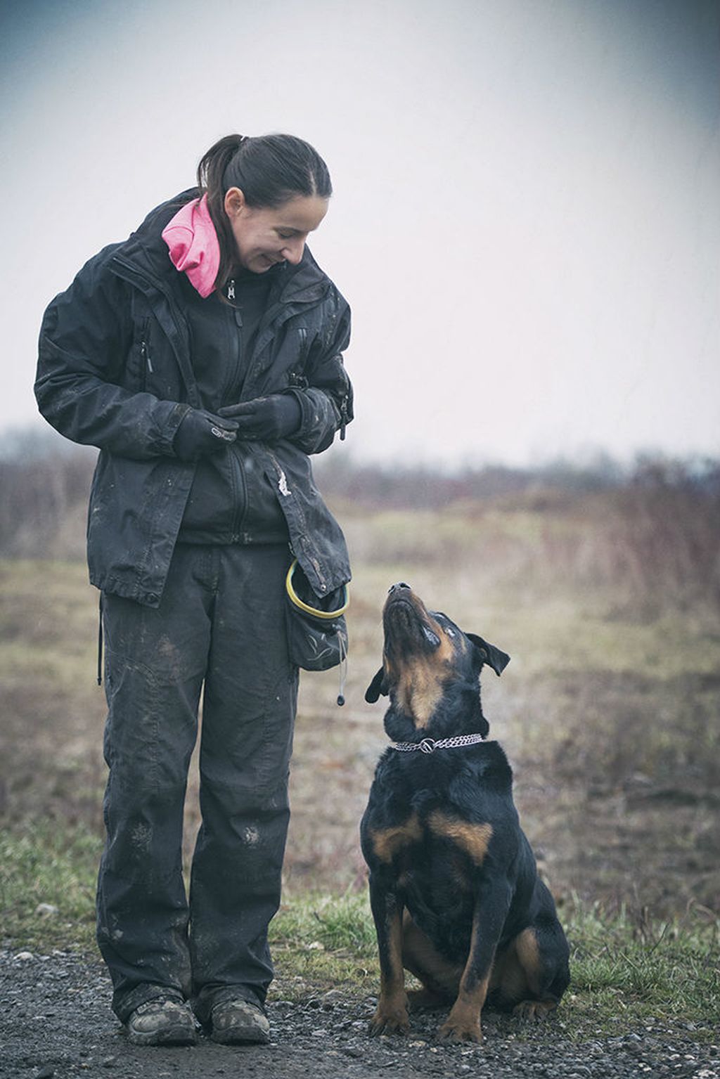Rotvajlerica Jana traži novi dom - 7