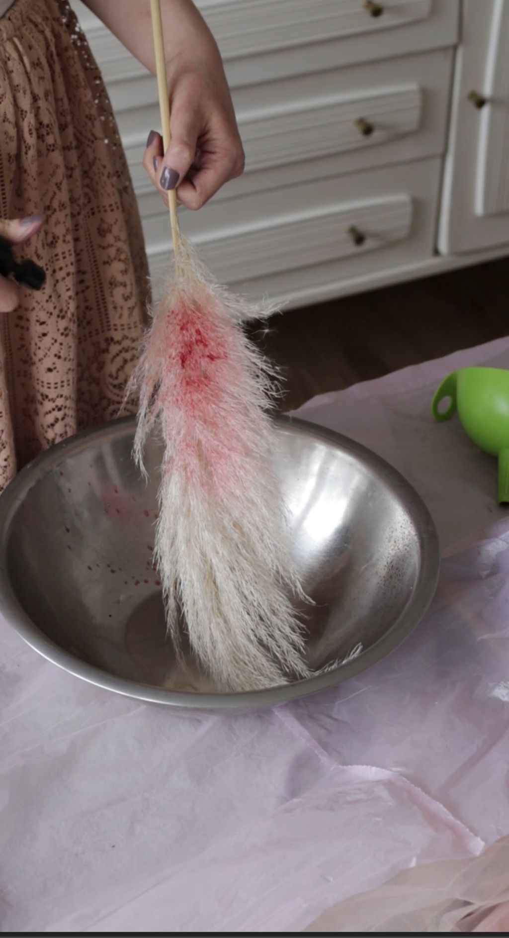 Bojenje pampasa sa sastojcima iz hladnjaka - 2