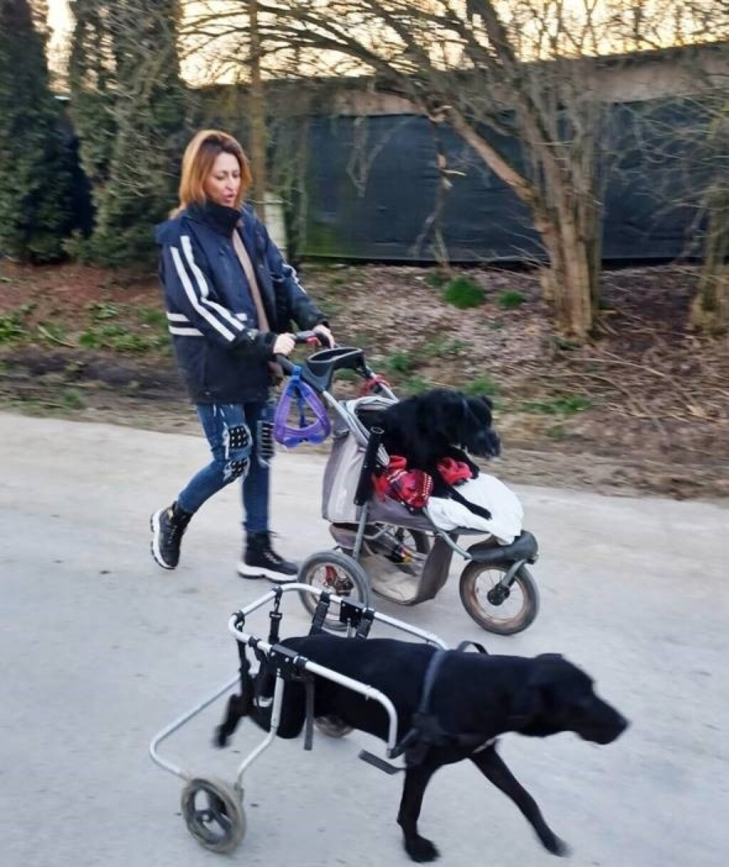 Leteći odred iz osječkog azila - 8