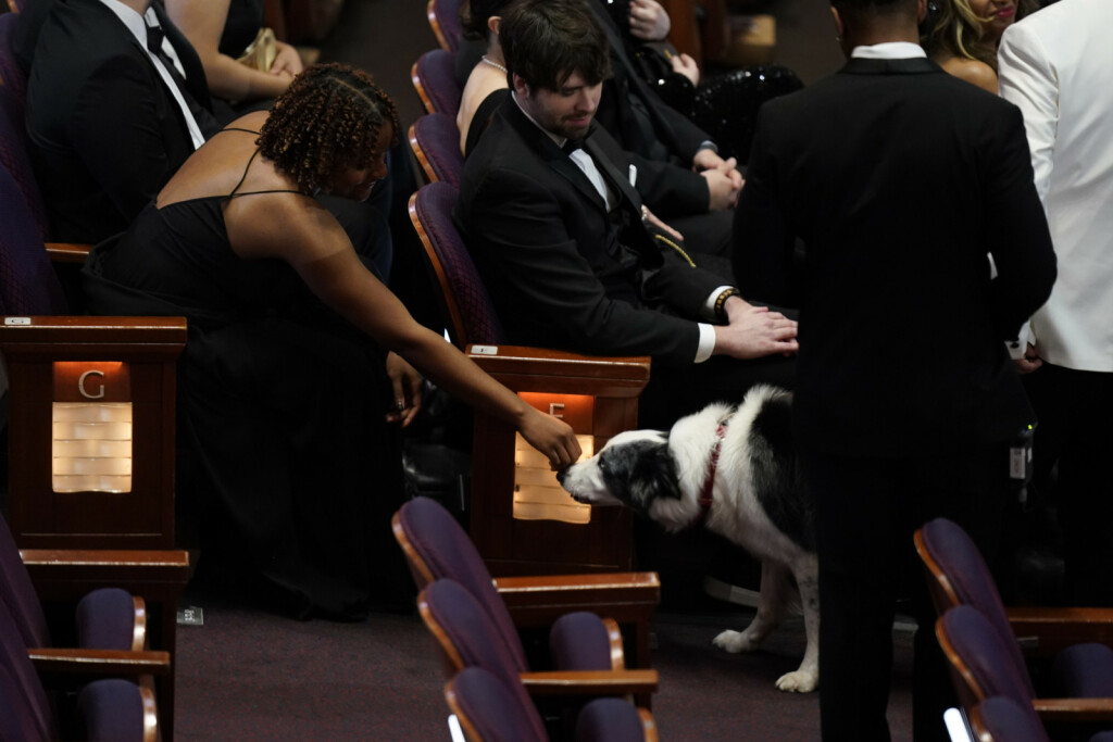 Pas Messi iz filma 'Anatomija pada' imao je svoj stolac na dodjeli Oscara - 2