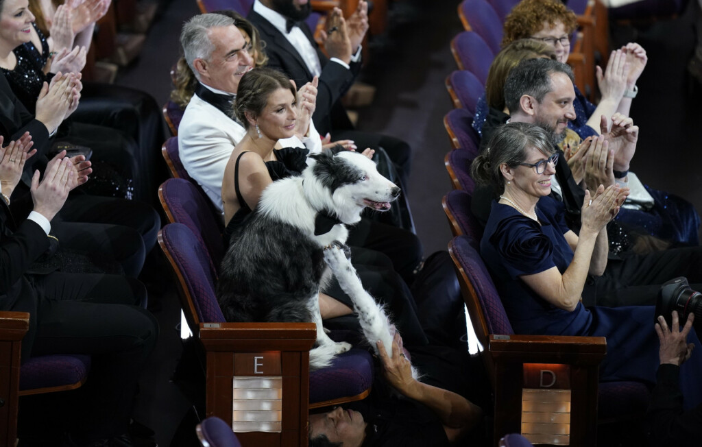 Pas Messi iz filma 'Anatomija pada' imao je svoj stolac na dodjeli Oscara - 4