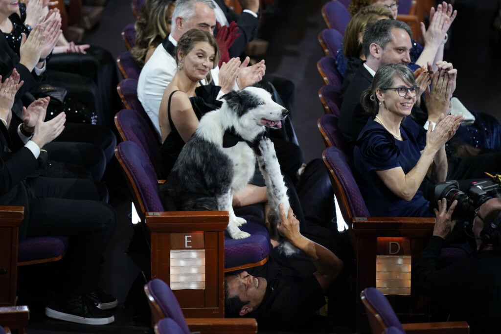 Pas Messi iz filma 'Anatomija pada' imao je svoj stolac na dodjeli Oscara - 5