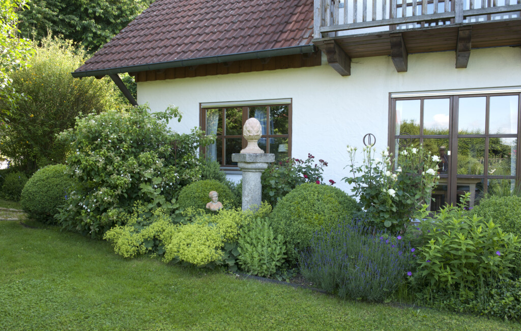 Sanjivo dvorište s ružama i puno zelenila - 7