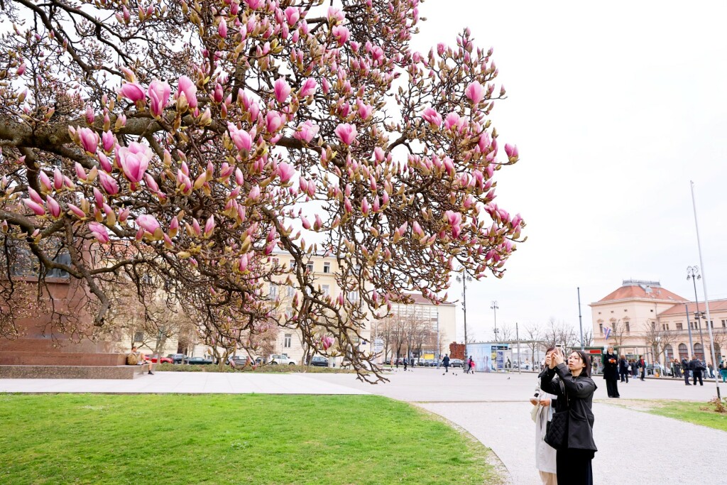 Najljepši proljetni prizori u centru Zagreba