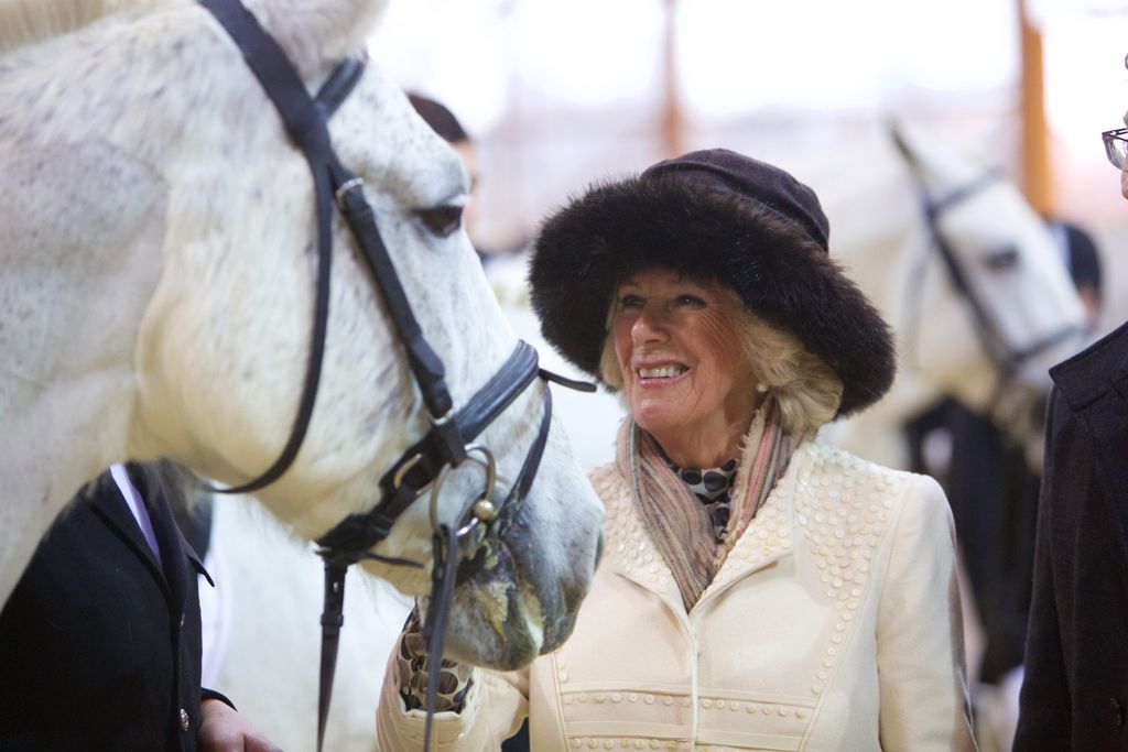 Charles i Camilla u Hrvatskoj 2016. - 15