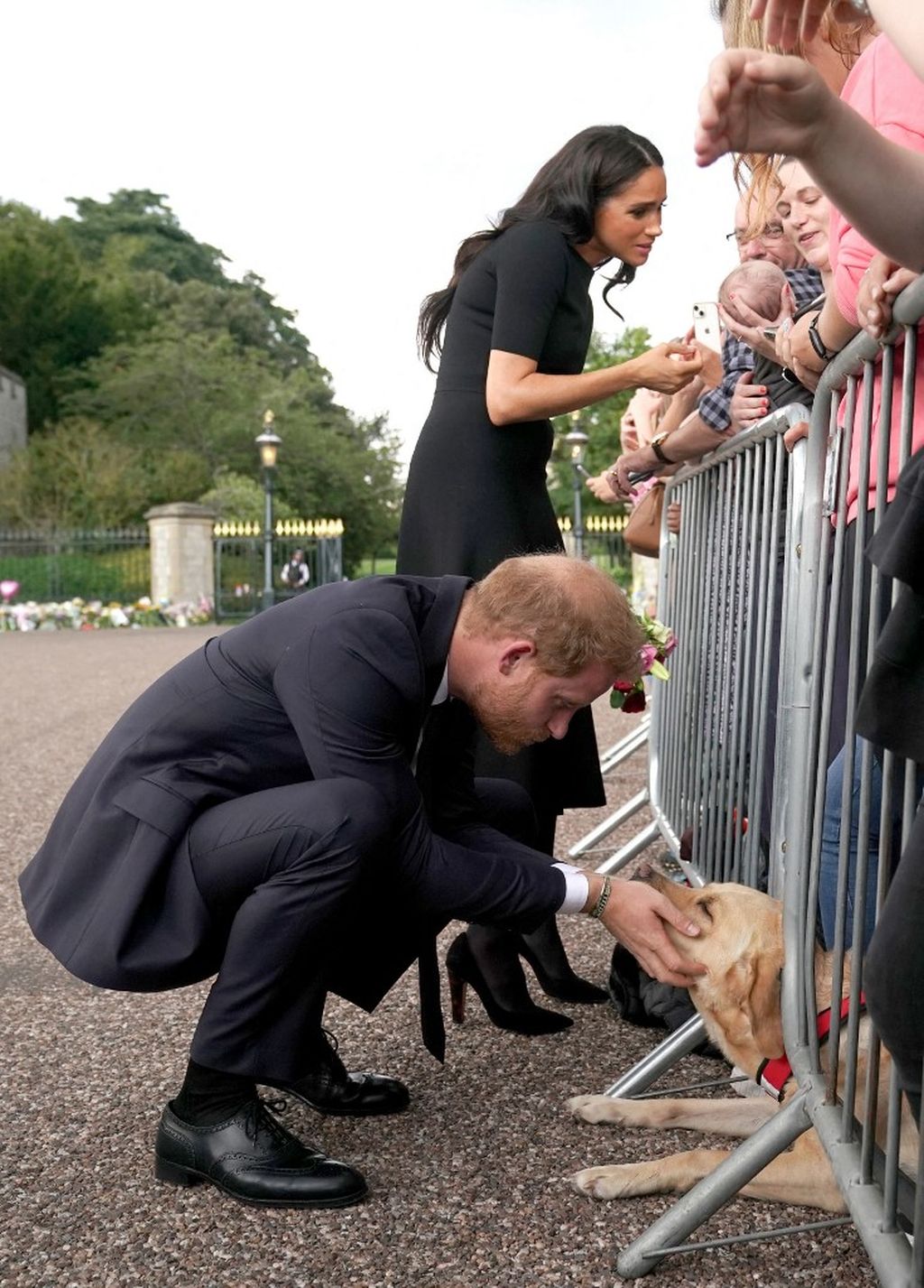 Kate Middleton, princ William, princ Harry, Meghan Markle - 11