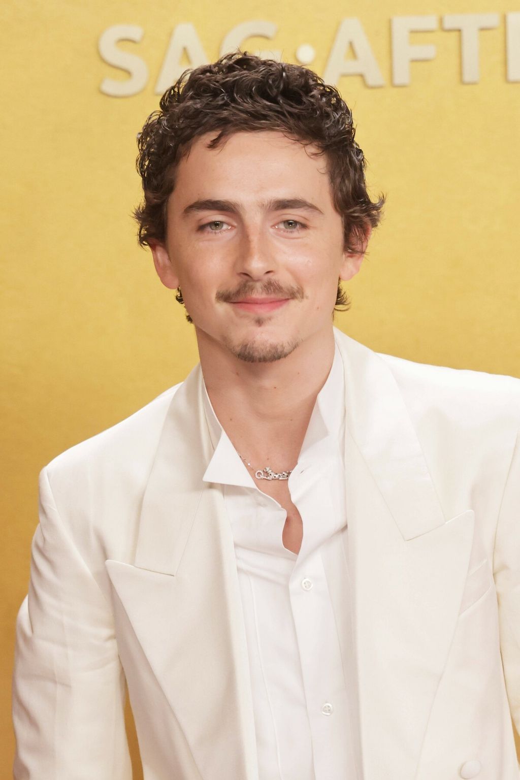 Timothee Chalamet - 6