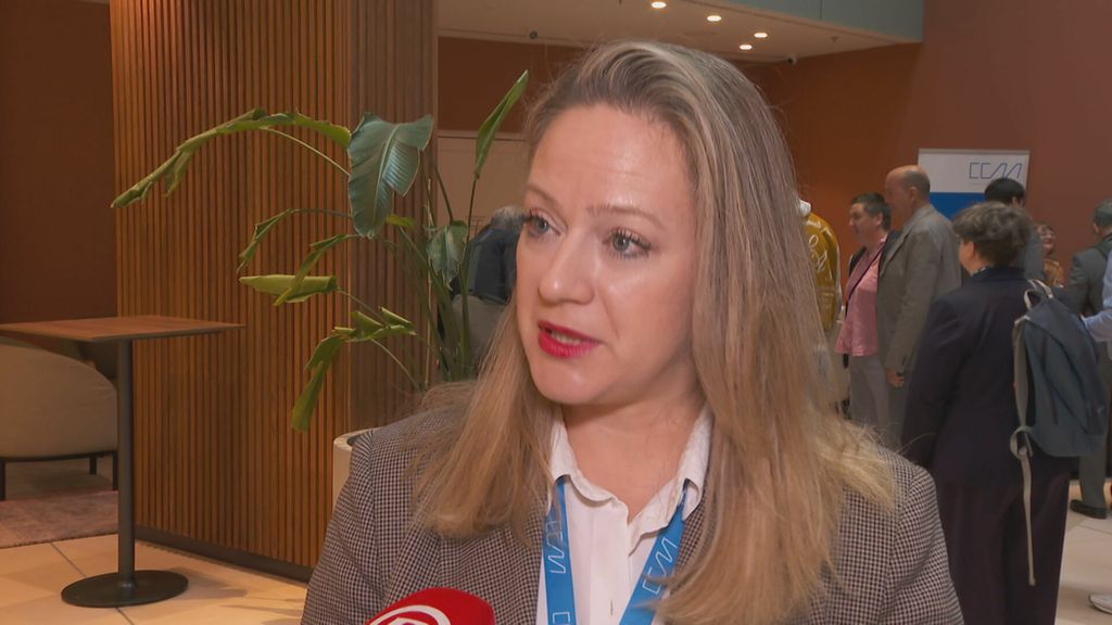 Evakuacija Hrvata s Bliskog istoka - 4